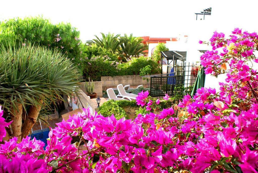 Casa San Miguel Apartment San Miguel de Abona Luaran gambar